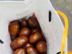 -黑孩油栗皇(南阳路店)