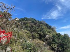 -泰山风景名胜区