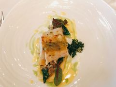 冰岛比目鱼-福楼法餐厅FLO