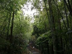 -敬亭山风景名胜区