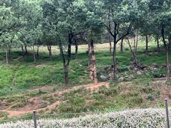 -杭州野生动物世界