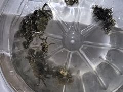 -青岛第三海水浴场