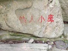 -上海鲜花港