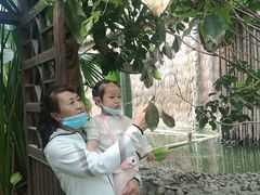 -呀路古热带植物园