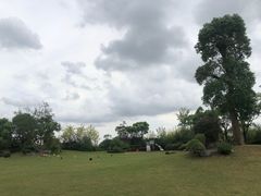 -上海崇明金茂凯悦酒店
