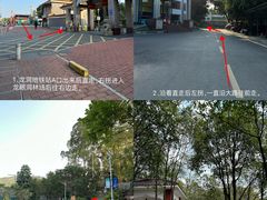 -火炉山森林公园