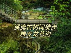 -龙苍沟森林公园