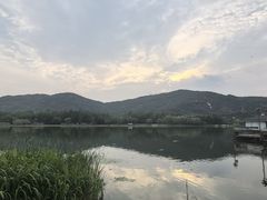 -长广溪湿地公园