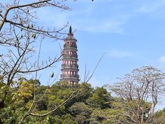 -顺峰山公园