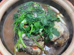 -华仔土鸡店(南洲分店)