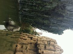 android_upload_pic-中华恐龙园