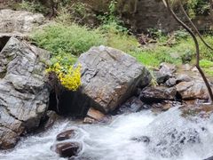-龙门涧景区