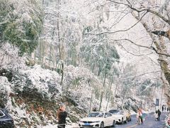 -莫干山风景区