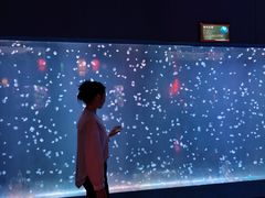 -太平洋海底世界