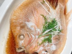 -华盛丰温州大排档(东三环南路店)