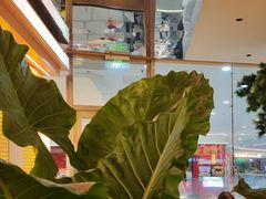 -桂满陇·手作小笼包&江南叫花鸡(中山公园店)