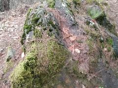 -披云山庄