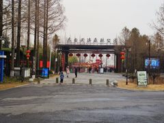 -黄海国家森林公园