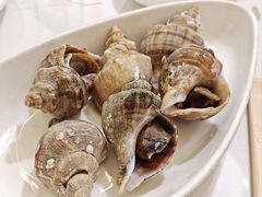 白灼海螺-大厝宅海鲜馆