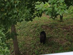 -合肥野生动物园