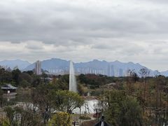 -江心屿景区