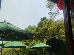 -韬光茶庵