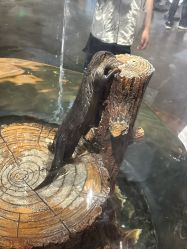 -Zoolung Zoolung动物主题公园(海信广场店)