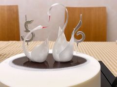 -BLACKSWAN黑天鹅(环球店)