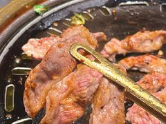 -杨小佳·齐齐哈尔烤肉·烤串(广州店)
