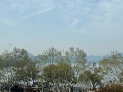 -杭州君悦酒店