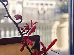 -江南雅厨(李公堤店)