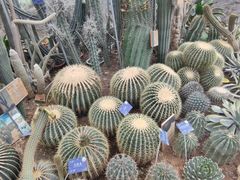 -国家植物园南园