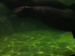 -福州罗源湾海洋世界旅游区