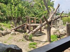 -宁波野生动物园