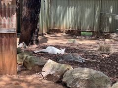 -费瑟代尔野生动物园