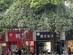 -阿捡忭京炸鸡(长沙韭菜园总店)