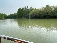 -上海海湾国家森林公园