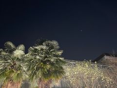 -南京国际会议大酒店