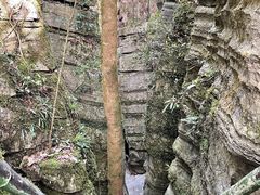 -梭布垭石林景区