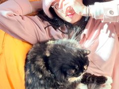 -楼上猫咖(罗湖店)