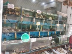 水产区-天伦海鲜·老味道·青岛菜(栈桥天主教堂店)