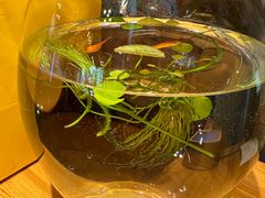 -向川南·水煮鱼·川菜(和平里店)