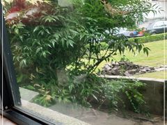 -大可堂普洱茶馆(襄阳南路馆)