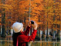 -白鹭湾湿地公园