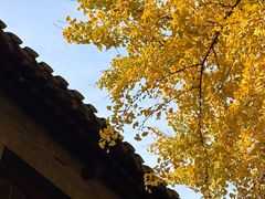 -伯先公园