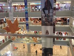 -莲花国际广场
