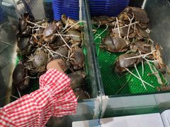-盒马鲜生(皇庭广场店)