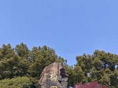 -无锡梅园公园