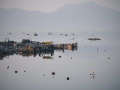-北岐滩涂