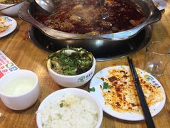 -金鼎雪山牦牛杂火锅(理县总店)